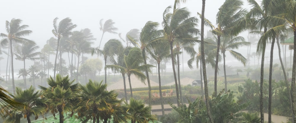 How Metal Roofs Can Protect Your Home During High Wind and Hurricanes