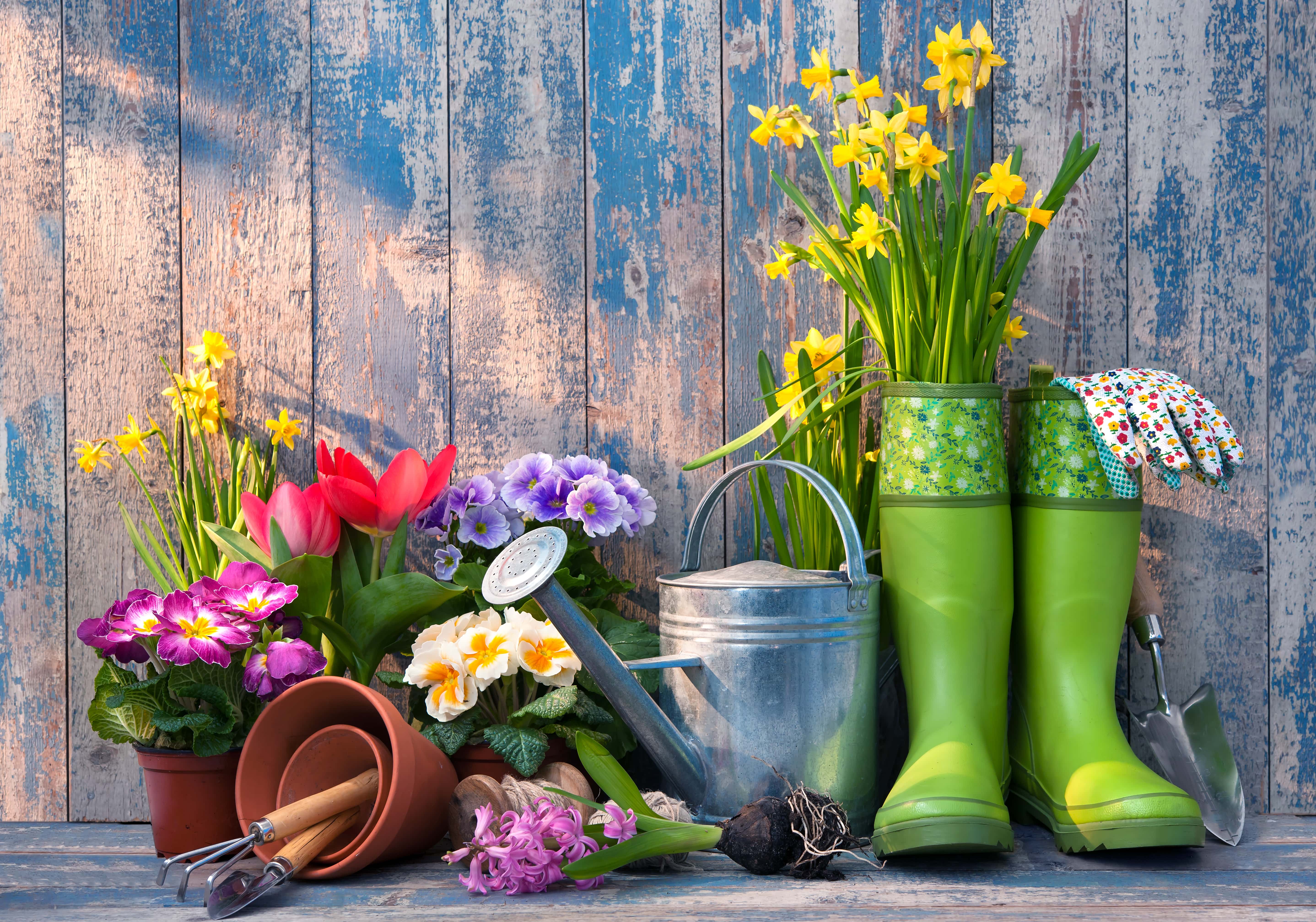 Spring Gardening Checklist - with Infographic - RPS Metal Roofing ...